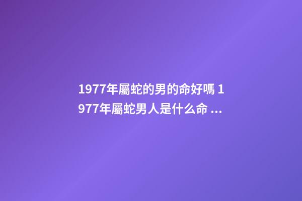 1977年屬蛇的男的命好嗎 1977年屬蛇男人是什么命 77年蛇男的一生命運如何，1977年屬蛇人的后半生命運-第1張-觀點-玄機派